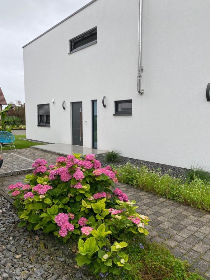 Schoener Wohnen Friesenheim  Esterno foto